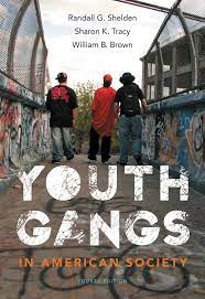 Youth Gangs